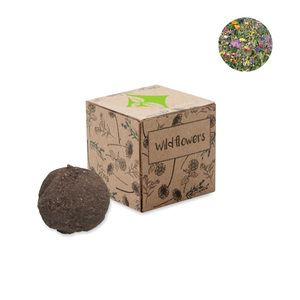 BOMBI Eco-Friendly Wildflower Seed Bomb Kit