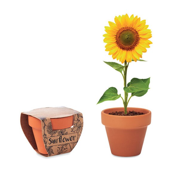 SUNFLOWER Terracotta pot 'sunflower' - GiftRetail MO6147