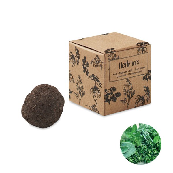 BOMBI III Herb Seed Bomb Kit with Anise, Dill, and More