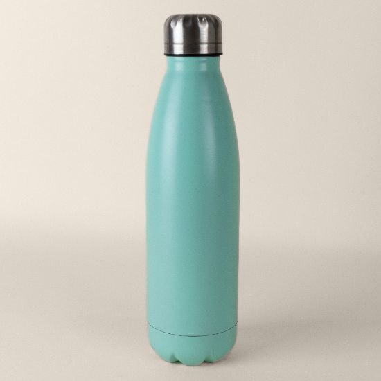 Goya 39026 - Stainless Steel Bottle, Matte, 750ml SODA
