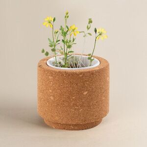 Goya 53531K - Cork Pot with Wild Flower Seeds LUWA