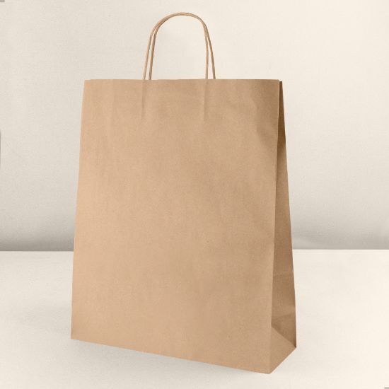 Goya 53581 - Kraft Paper Bag with Twisted Handle AYSEN