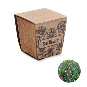 SUNFLOWER KIT Sunflower growing kit - GiftRetail MO2411