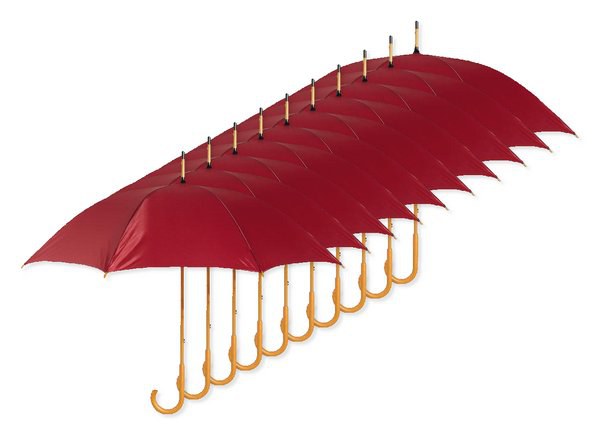 CALA Elegant Wooden Handle Windproof Umbrella